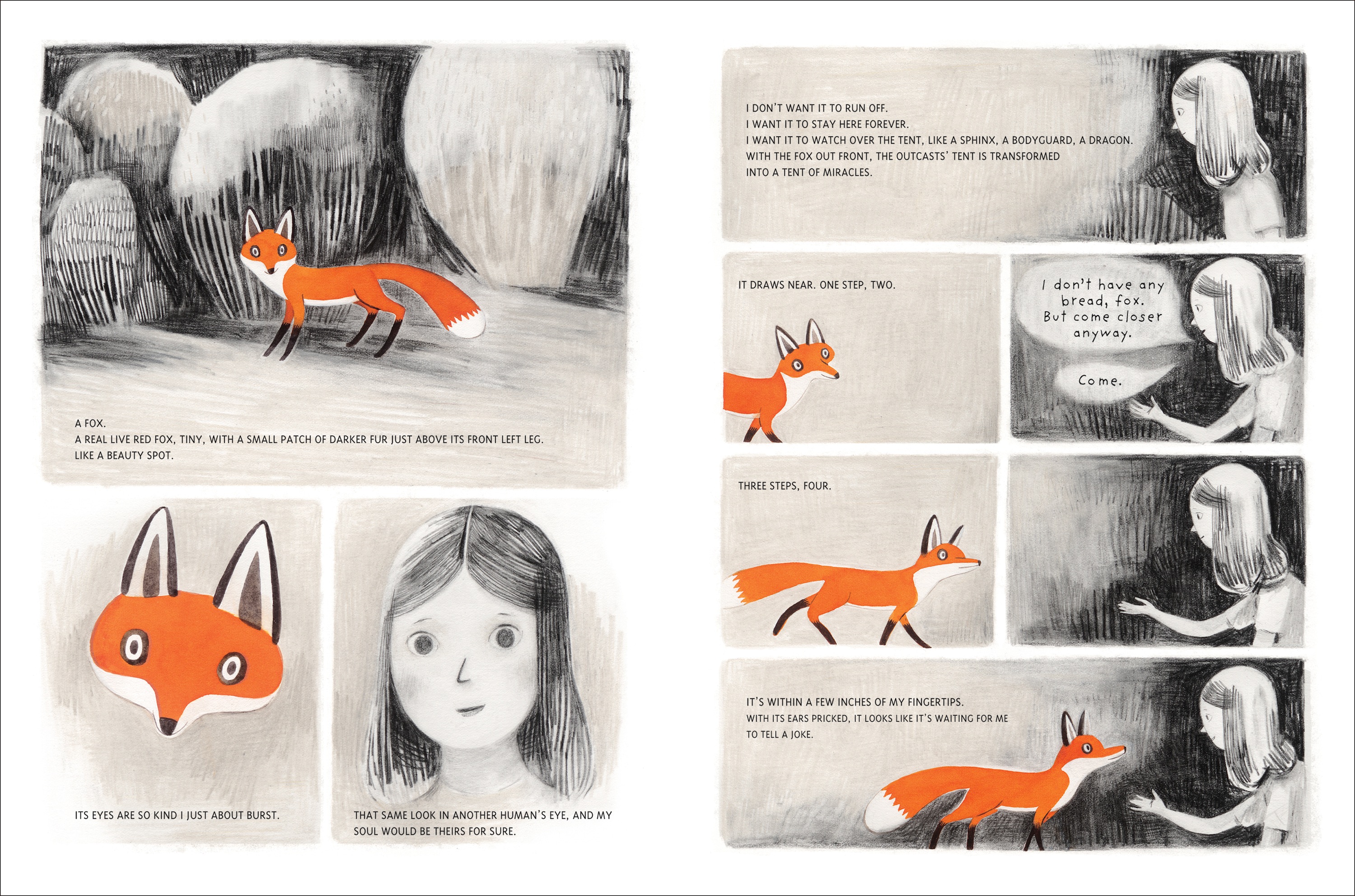 jane, the fox, & me - This Picture Book Life